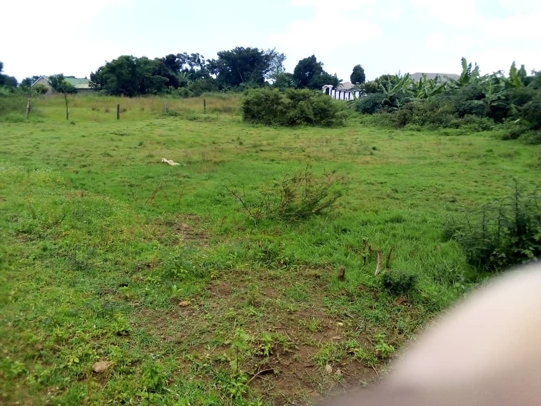 WhatsApp Image 2021-02-26 at 12.30.17 AM.jpeg